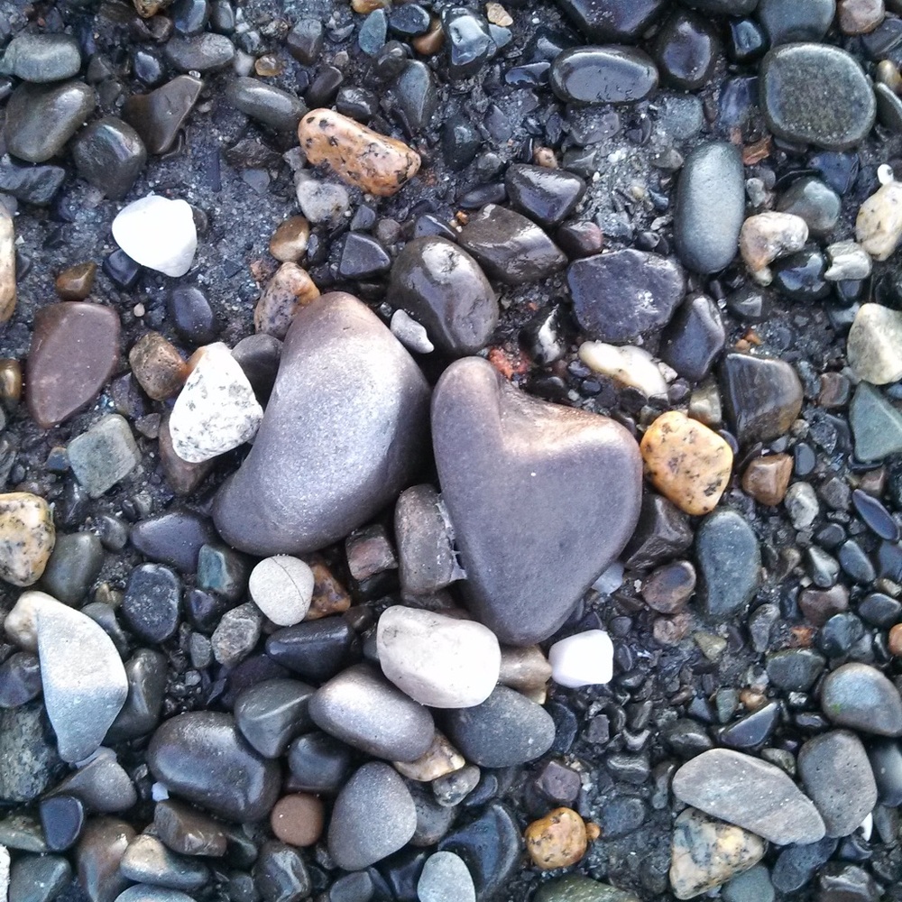 Meet your Posher, Michele